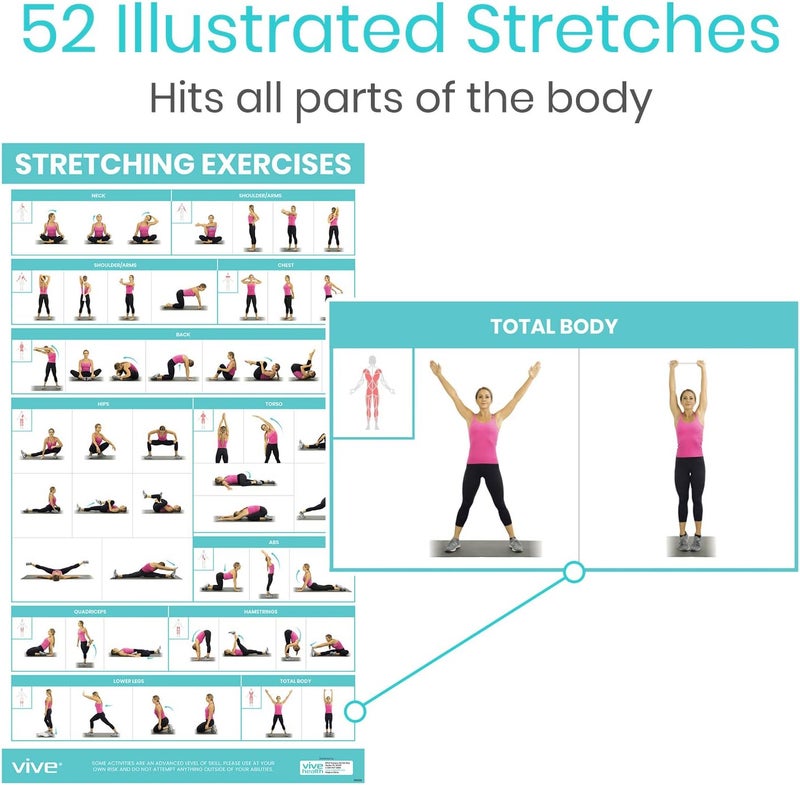 VIVE Workout Posters for Home Gym - 52 Streching Exercises Full Body Workout - Laminated Pre Post Routines Wall Chart - Bodyweight Poses Instruction Guide for Core, Abs, Legs, Glutes, Upper Body - Image 3